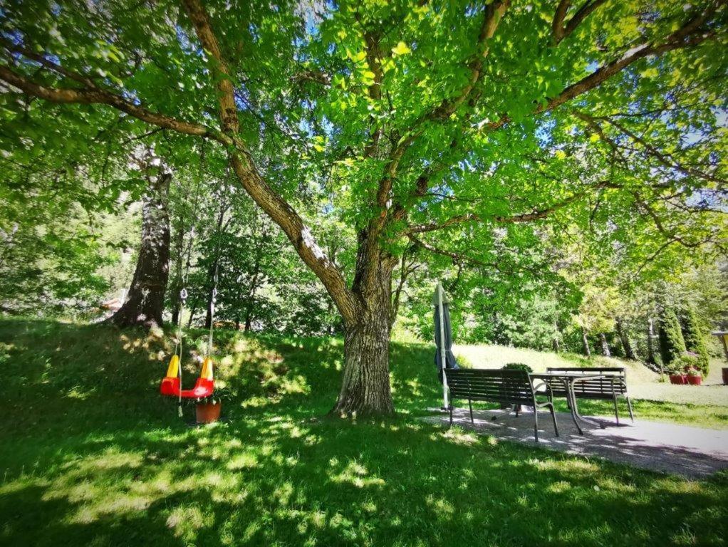 Haus Maria Lägenhet Sankt Johann im Walde Exteriör bild